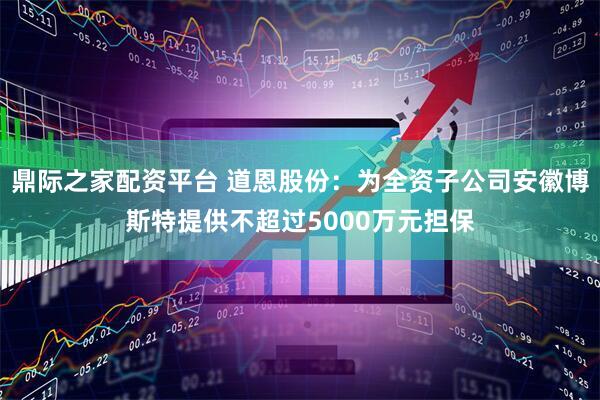 鼎际之家配资平台 道恩股份：为全资子公司安徽博斯特提供不超过5000万元担保