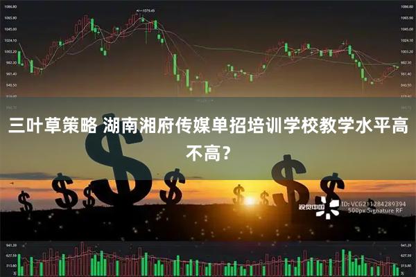 三叶草策略 湖南湘府传媒单招培训学校教学水平高不高？
