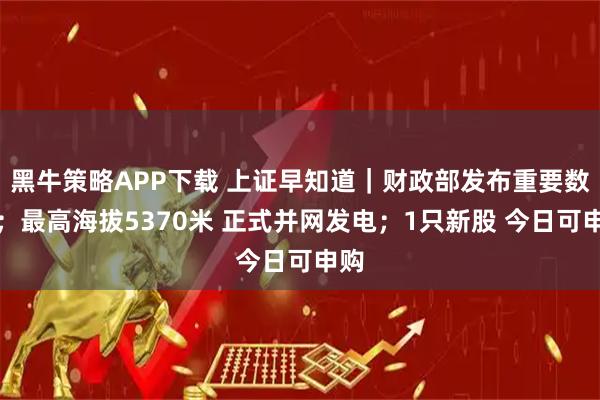 黑牛策略APP下载 上证早知道｜财政部发布重要数据；最高海拔5370米 正式并网发电；1只新股 今日可申购