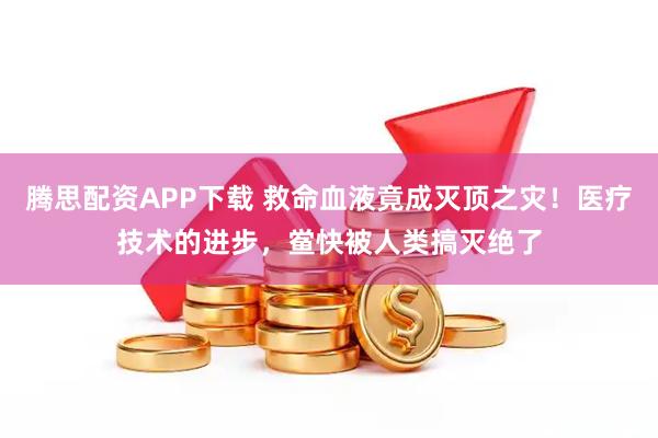 腾思配资APP下载 救命血液竟成灭顶之灾！医疗技术的进步，鲎快被人类搞灭绝了