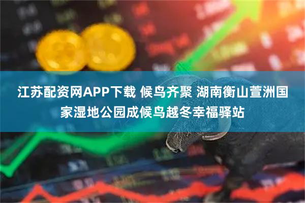 江苏配资网APP下载 候鸟齐聚 湖南衡山萱洲国家湿地公园成候鸟越冬幸福驿站