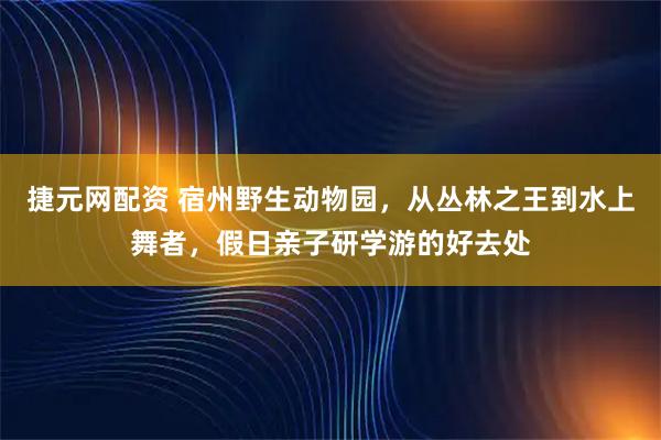 捷元网配资 宿州野生动物园，从丛林之王到水上舞者，假日亲子研学游的好去处